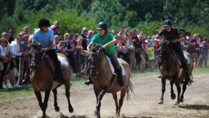 gyenesdias-festetics-vagta-2018-faludi-nemzeti-vagta-elofutam-csodalatosbalaton.hu