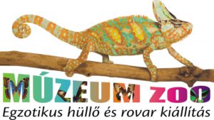 keszthely.zoo-rovar-lepke-hullo-kiallitas-csodalatosbalaton.hu