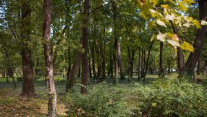 keszthely-helikon-park1-balaton-belvaros-csodalatosbalaton.hu