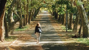 keszthely-helikon-park7-balaton-belvaros-csodalatosbalaton.hu