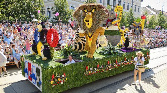 Félmillió élővirág díszíti majd a Debreceni Virágkarnevál 12 virágkocsiját