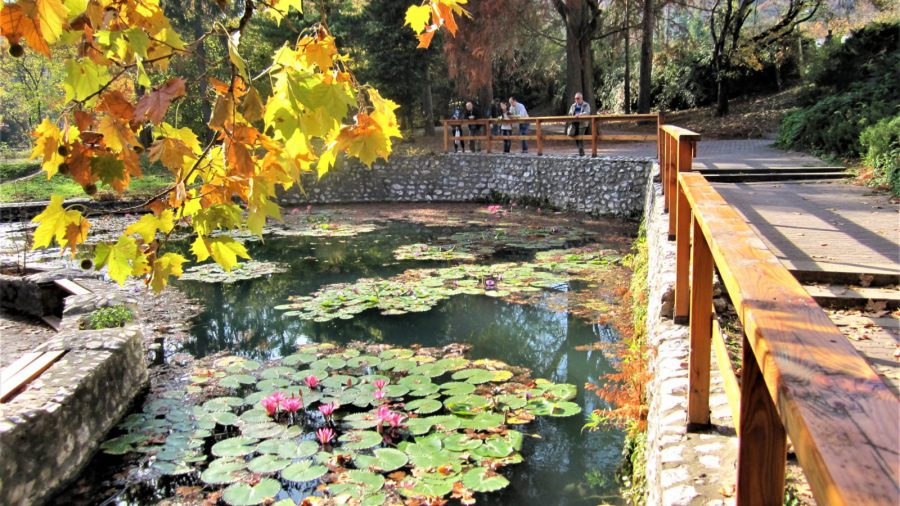 Az ősz színeiben pompázó édenkert, a miskolctapolcai park