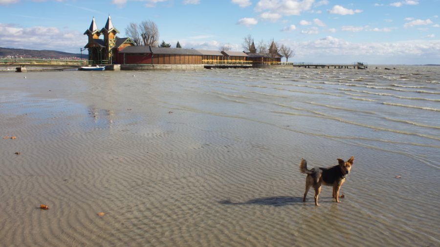 Eltűnt a Balaton Keszthelynél, 82 centivel volt kisebb a víz mint Balatonfűzfőn