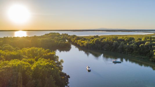 Február 1. a Tisza élővilágának emléknapja, 20 éve történt a ciánszennyezés