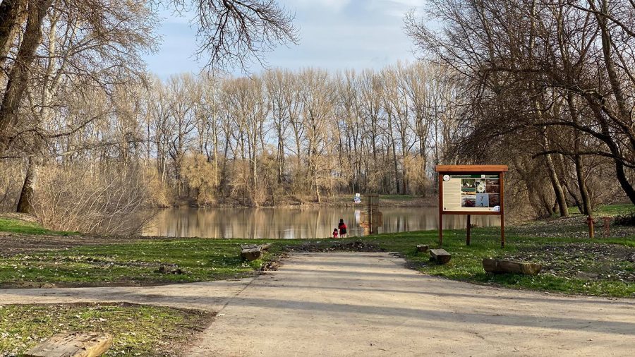 Nagykörűn a Tisza-parton 200 millió forintból lombkoronasétány épül