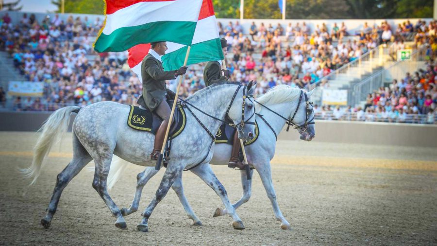 Az UNESCO világörökség része lehet a lipicailó-tenyésztés
