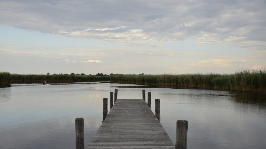Fertő-tó
