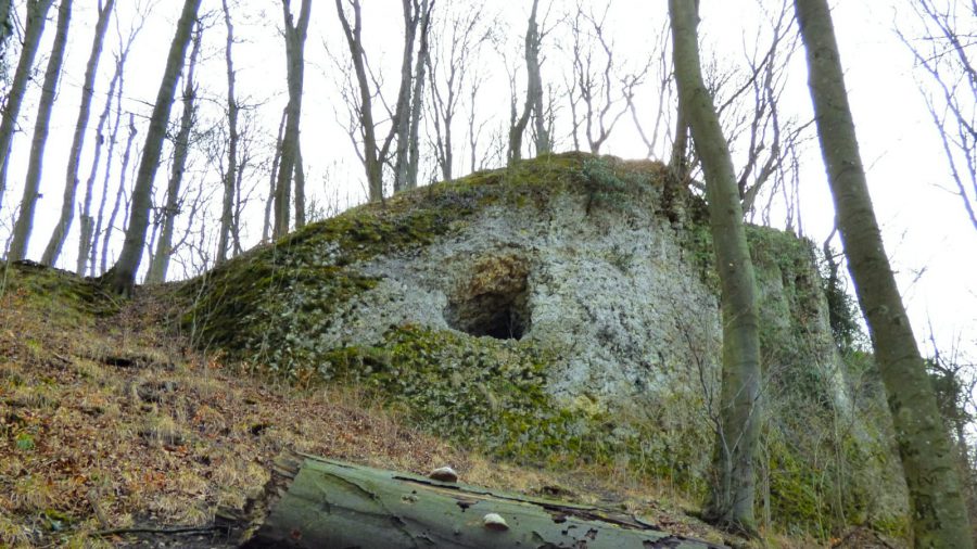 Hölgykő vára