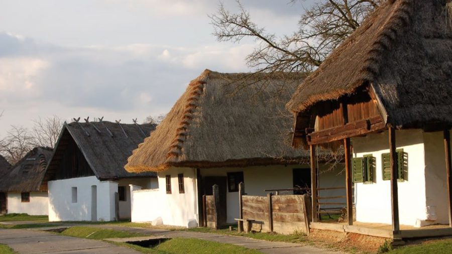 Vasi Skanzen