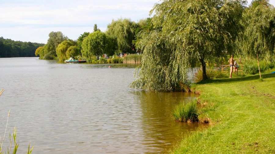 Borostyán-tó