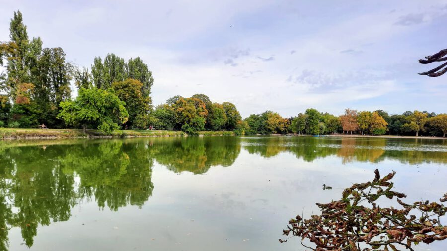 Az ősz aranyában tündöklő tatai Cseke-tó és az azt körbeölelő Angolpark
