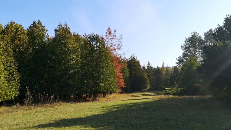 Őszi pompában az erdőspusztai arborétum