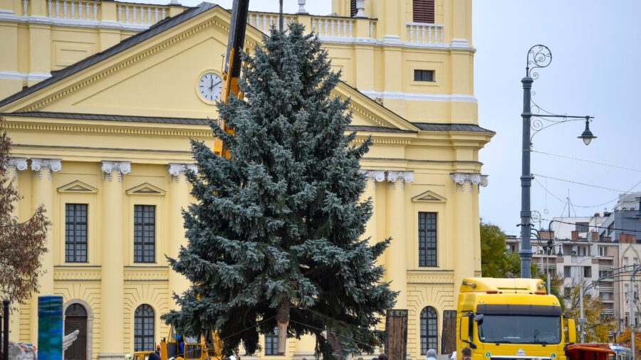 Felállították Debrecen 15 méteres karácsonyfáját
