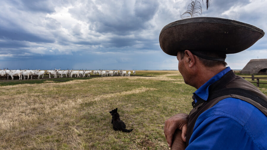 Lenyűgöző fotókon a hortobágyi pásztorok, csikósok mindennapjai