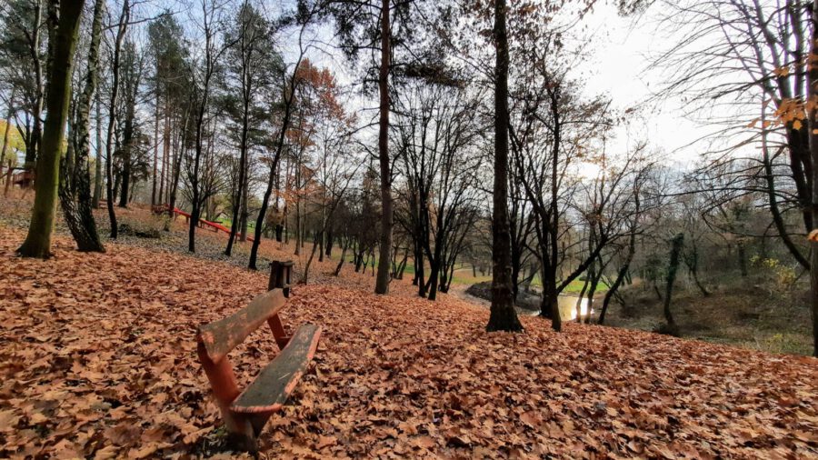 A város oázisa: a Komlói Arborétum és Kincses parkja