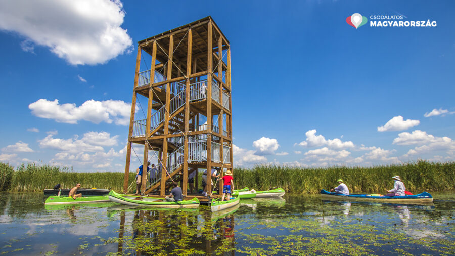 Bölömbika kilátó Tisza-tó