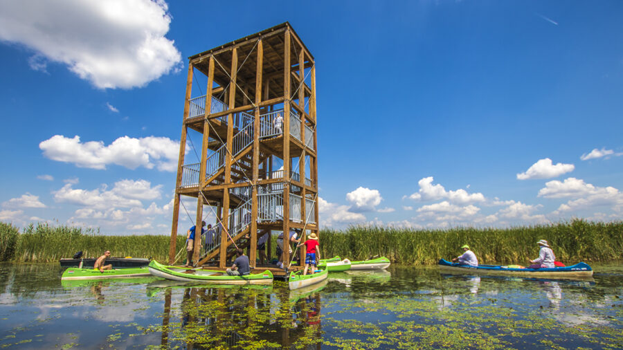 A Tisza-tó közepén álló Bölömbika-kilátó lett az Év Kilátója 2021-ben