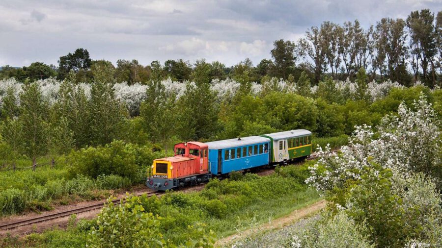 Két évtized után, újraindult a balatonfenyvesi kisvasút csisztapusztai vonala