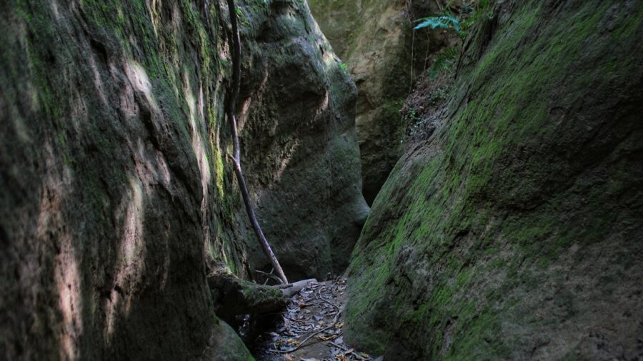 Morgó-gödör, a több mint húszmillió éves természeti csoda