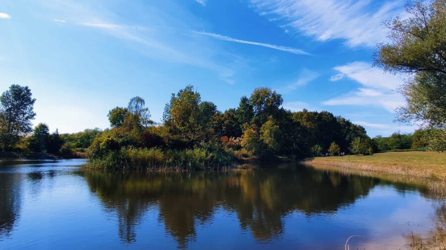 Erdőspuszta, melyet színesre pingál ecsetjével az ősz