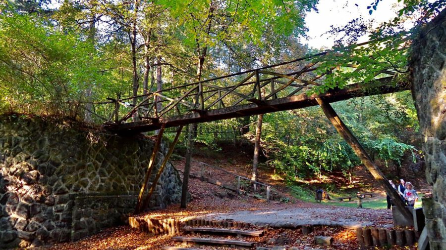 Erdőillatú séta az őszbe burkolózó Gödöllői Erdészeti Arborétumban