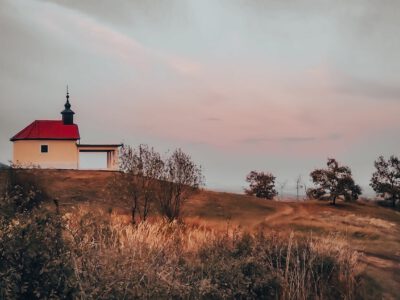 Próba bejegyzés GALÉRIA