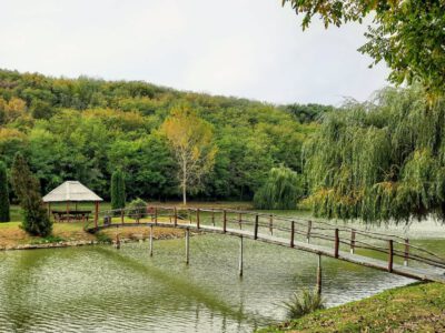 Próba bejegyzés GALÉRIA