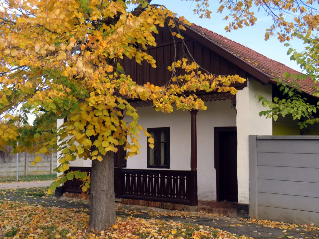 Békéscsaba podsztyenás házai, a múlt élő emlékei