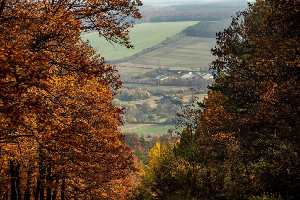 Kalapos-kövek, ahova az ősz terítette vörös szőnyeg vezet