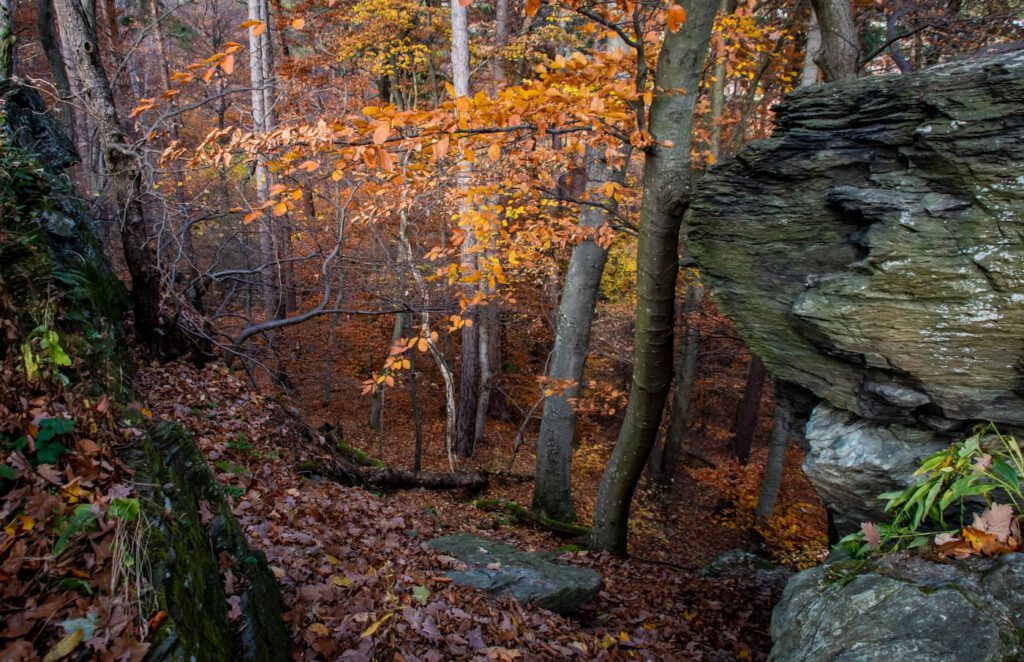 Kalapos-kövek, ahova az ősz terítette vörös szőnyeg vezet