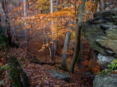 Kalapos-kövek, ahova az ősz terítette vörös szőnyeg vezet