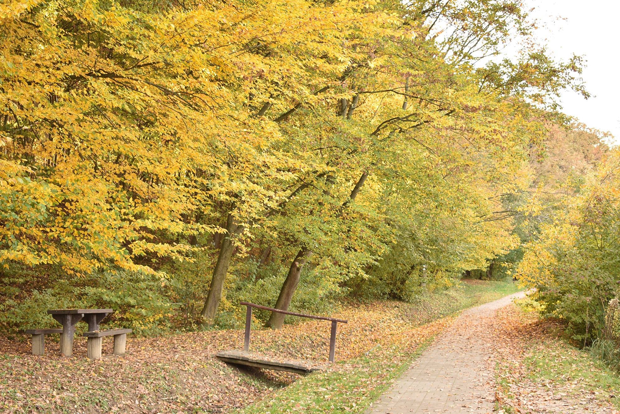 A környék kerékpárral is bejárható.