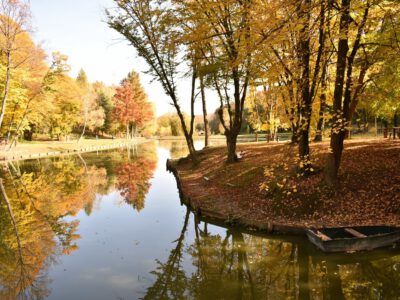 Gyertyánosi parkerdő: a dimbes-dombos, vízmosásokkal szabdalt kirándulóhely