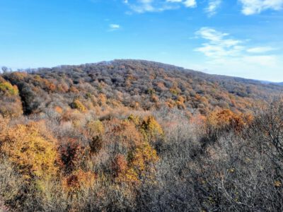 Cigány-hegyi kilátó, a Kelet-Mecsek egyik őrszeme