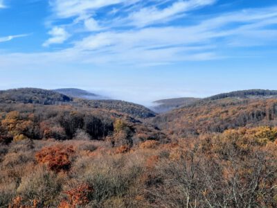 Cigány-hegyi kilátó, a Kelet-Mecsek egyik őrszeme