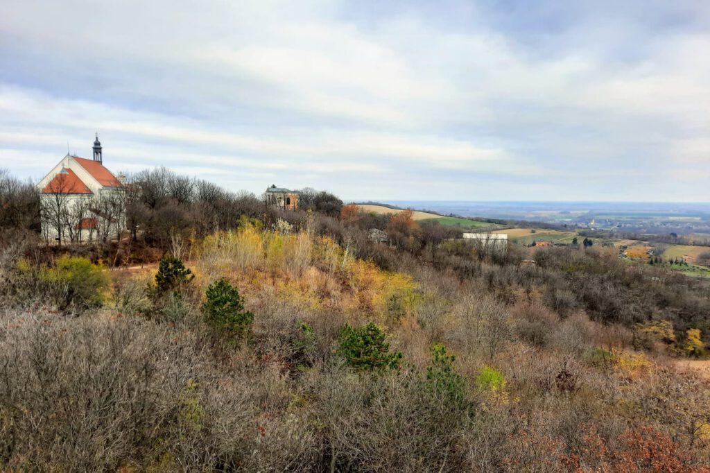 A pannonhalmi Boldog Mór-kilátó és a tanösvény, ahonnan mesés az őszi panoráma