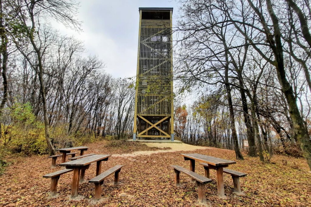 A pannonhalmi Boldog Mór-kilátó és a tanösvény, ahonnan mesés az őszi panoráma