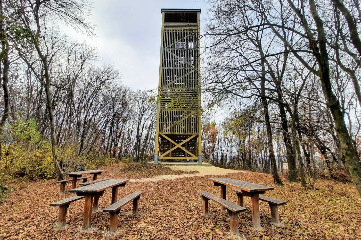 A pannonhalmi Boldog Mór-kilátó és a tanösvény, ahonnan mesés az őszi panoráma