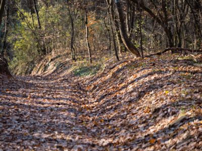Alsó-Jegenye-völgy, az ősszel is elbűvölő kirándulóhely Solymárnál