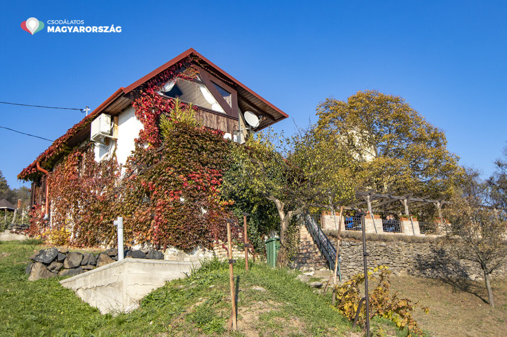 Spiegelberg borterasz