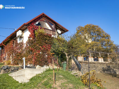 Spiegelberg borterasz
