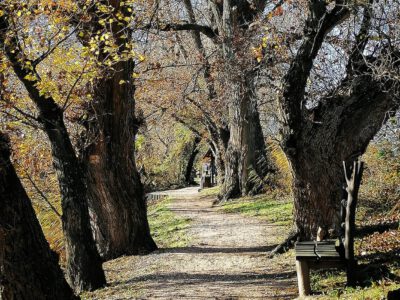 Taksony a Kis-Duna gyöngyszeme, ahova érdemes ősszel is ellátogatni