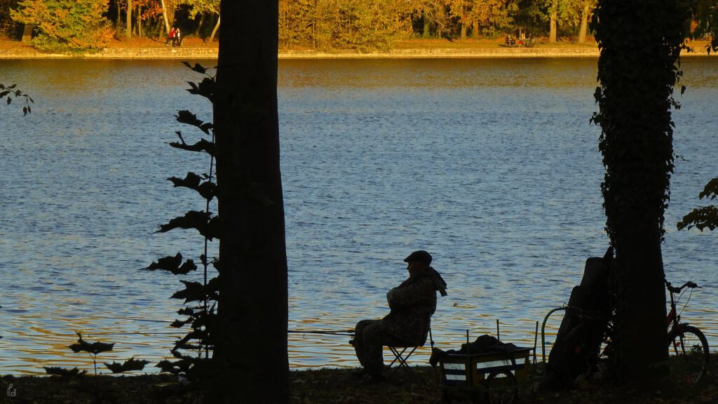 A tatai Angolkert, melyet aranyszínűre festett az ősz ecsetje