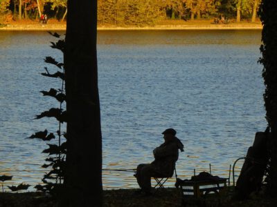 A tatai Angolkert, melyet aranyszínűre festett az ősz ecsetje