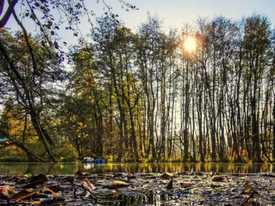 Tatai Fényes tanösvény: út a titokzatos lápvilága