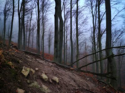A Thirring-körút egy ködös novemberi reggel sejtelmes képein