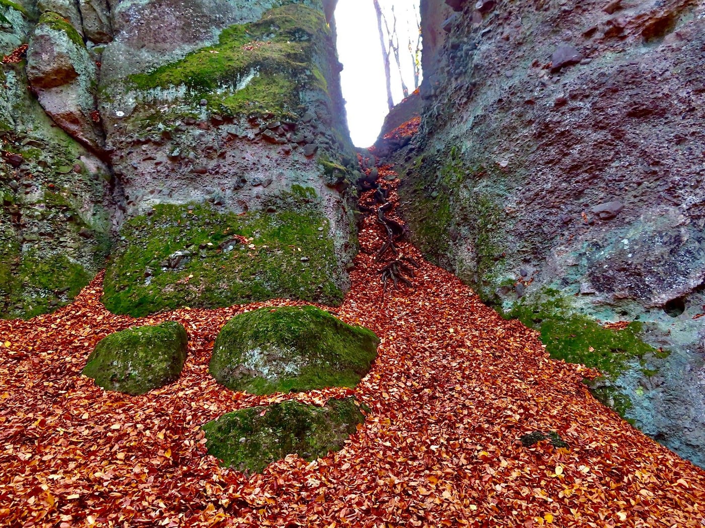 Zsivány-sziklák, a Dunakanyar lenyűgöző kőmonstrumai