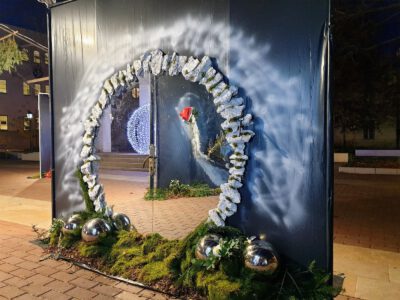 Székesfehérvári advent: ünnepi palástba öltözött a királyok városa