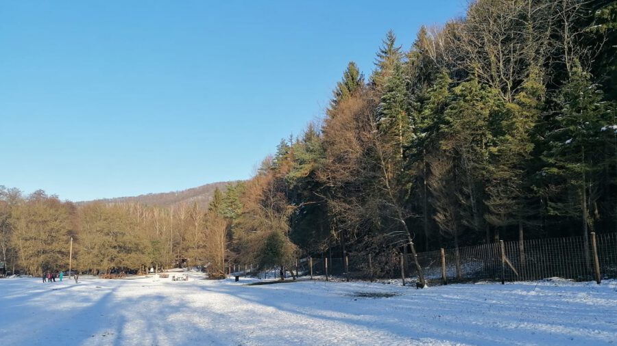 A hólepte Apátkúti-völgy, ahol télen is élmény kirándulni