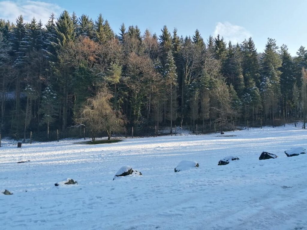 A hólepte Apátkúti-völgy, ahol télen is élmény kirándulni